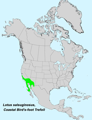 North America species range map for Coastal Bird's-foot Trefoil, Lotus salsuginosus: